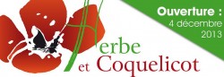 herbe et coquelicot