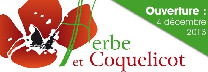 herbe et coquelicot
